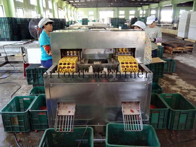 Pitting Machine