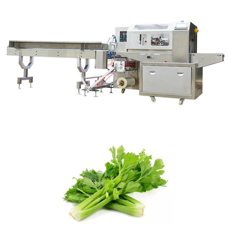 Chocolate Packing Machine