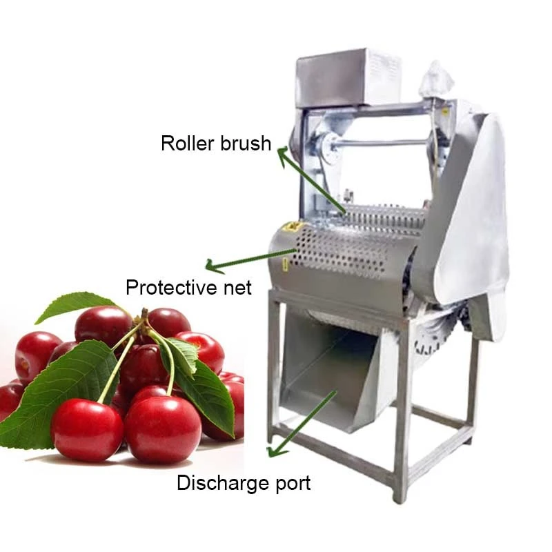 Auto Cherry Pitter suppliers